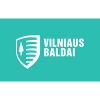 Elektrikų – automatikų komandos vadovas (-ė)