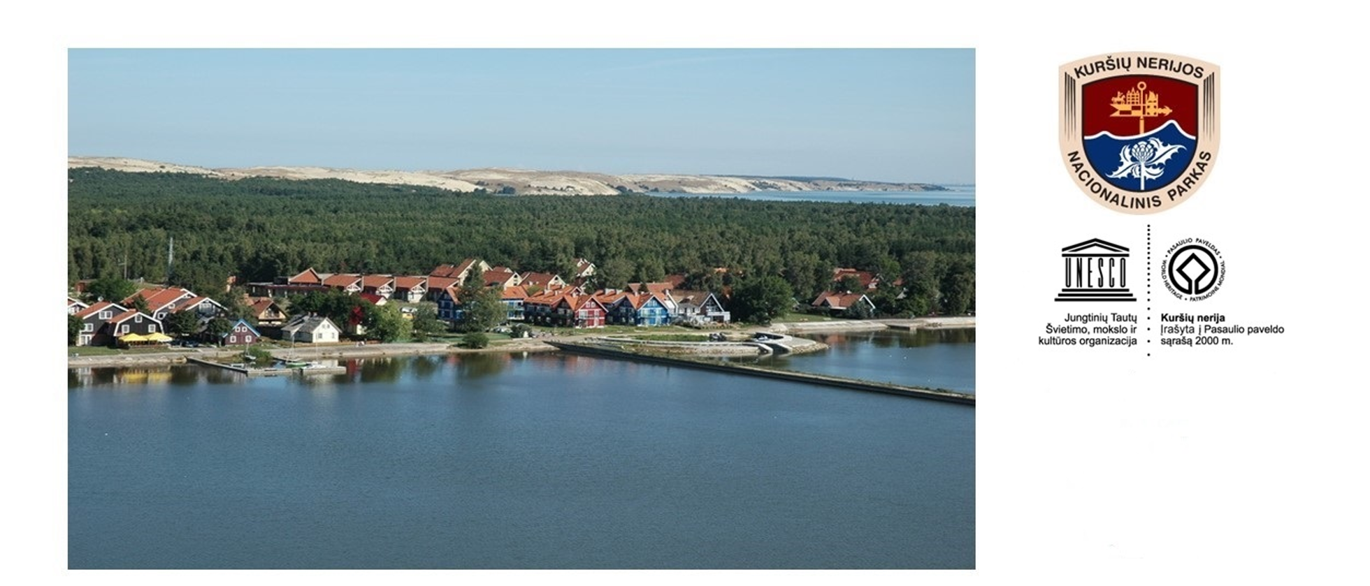 Kuršių nerijos nacionalinio parko direkcijos vadovas (-ė) 