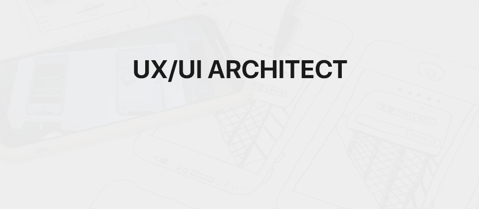UX/UI Architect - Designer
