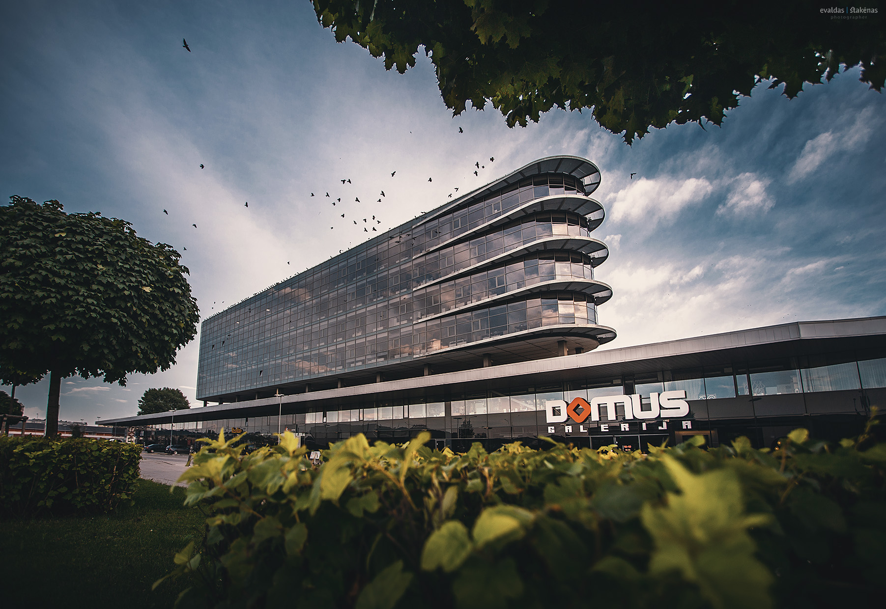 Nuomos projektų vadovas (-ė)