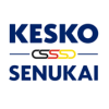 Business Process Analyst