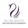 ADMINISTRATORIUS (-Ė)