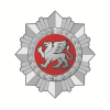Analitikas (-ė)