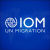 Senior Project Associate (Integration)