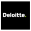 Risk Advisory Consultant