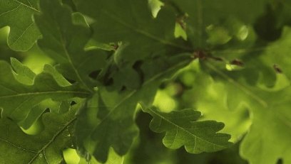 Senior Credit Risk Modeller