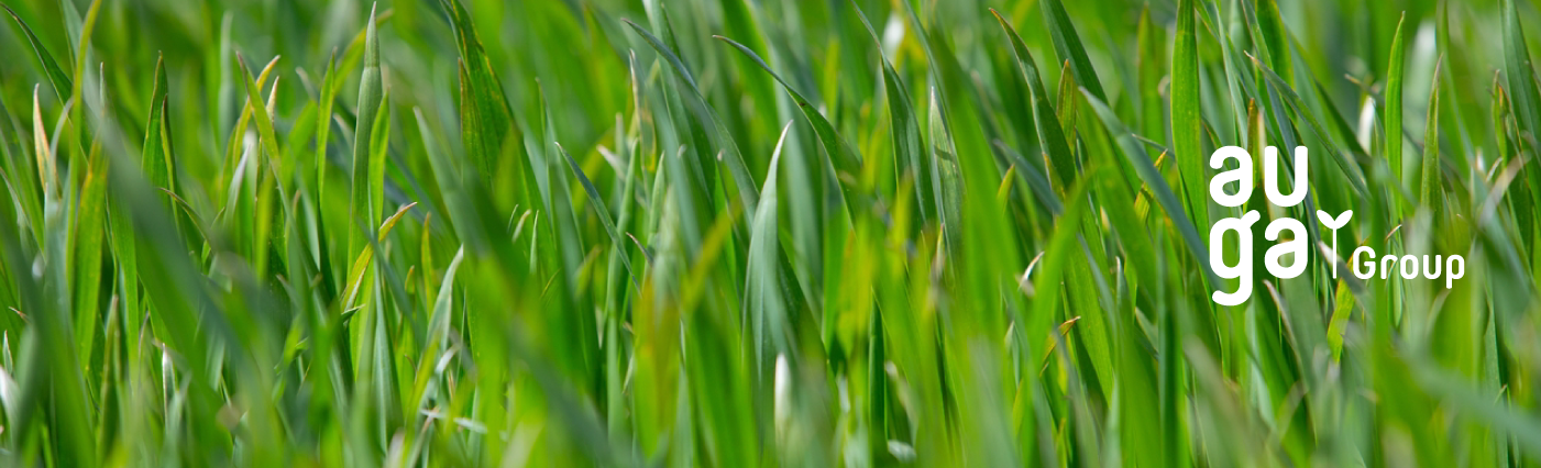 Mechanizatorius(-ė) - teleskopinio krautuvo vairuotojas(-a)