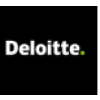 Risk Advisory Consultant 
