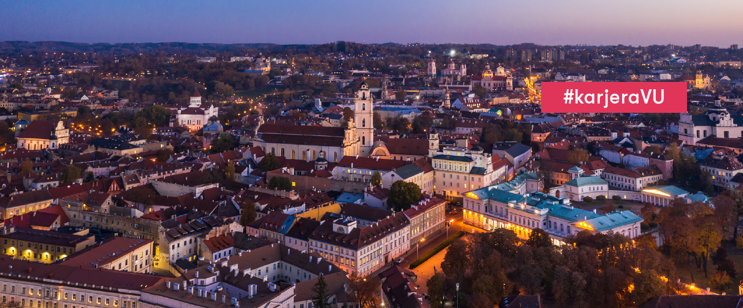 Vadovas (-ė) VU Bibliotekos Dokumentinio paveldo išsaugojimo skyriuje