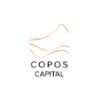 Investment Analyst