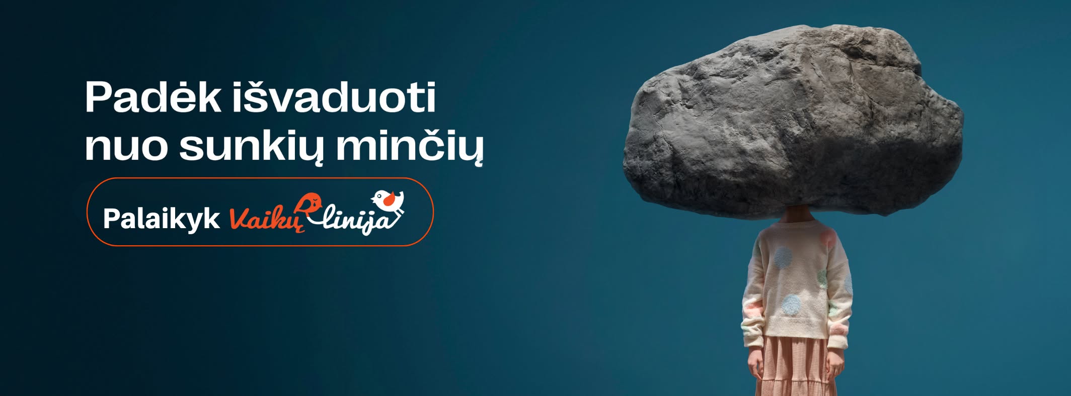 Lėšų pritraukimo koordinatorius