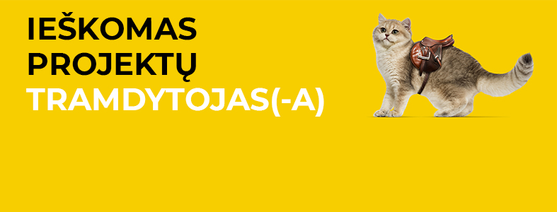 Projektų vadovas / vadovė
