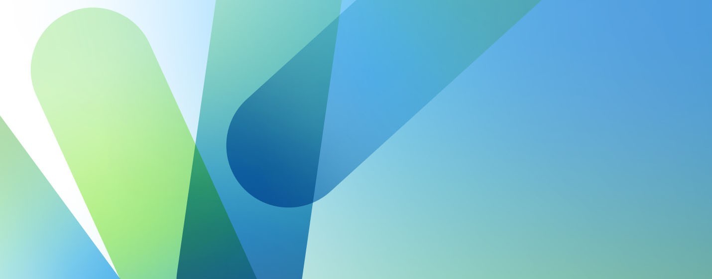 Partnership Manager