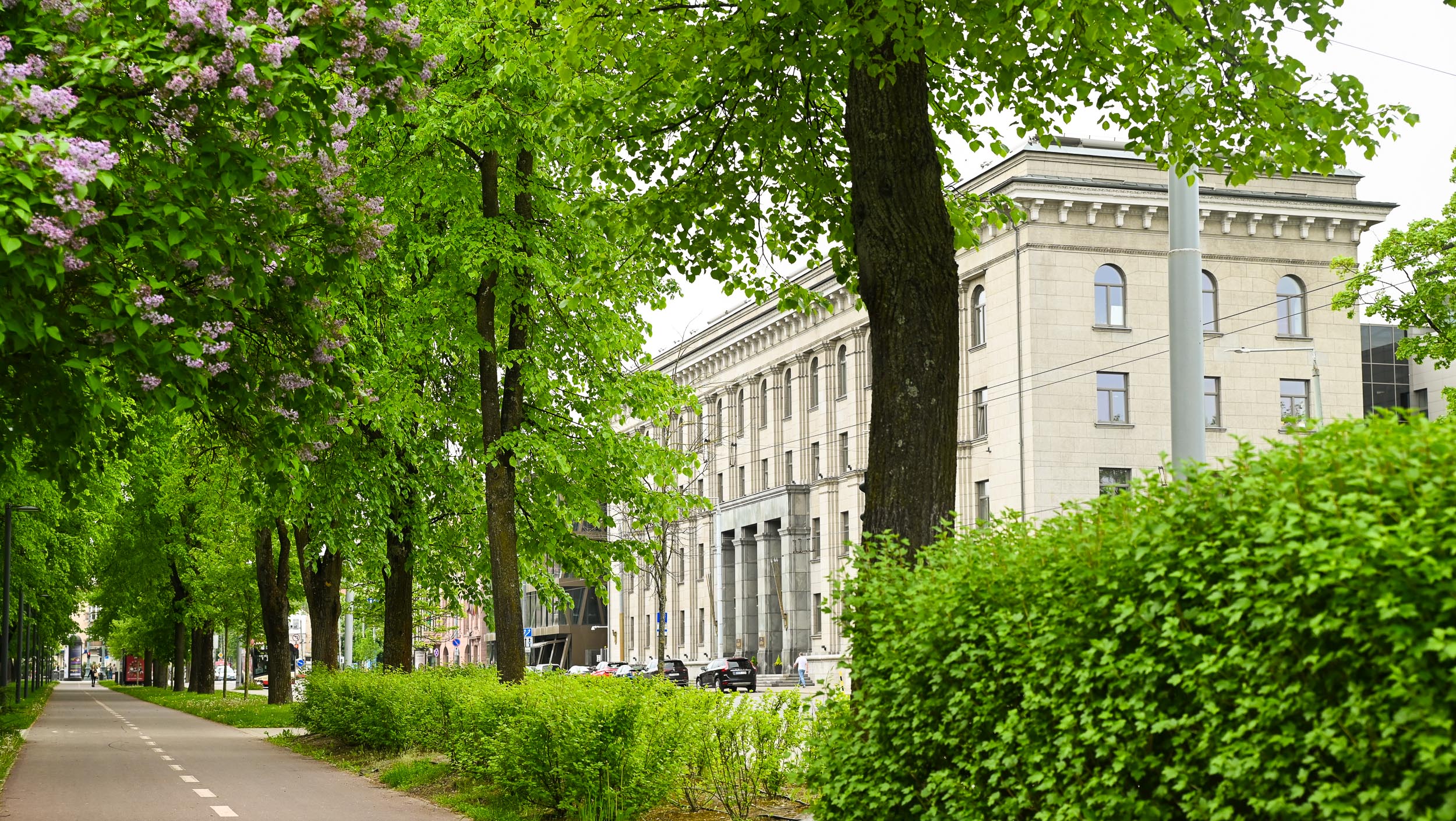 Visuomenės informavimo skyriaus vyriausiasis (-ioji) specialistas (-ė)