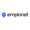 IT project manager