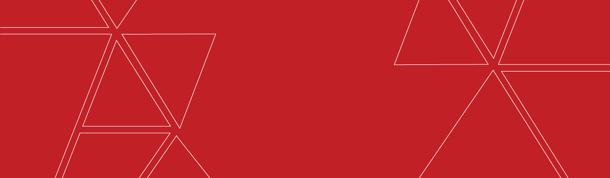NT Valdymo Projektų vadovas (-ė)
