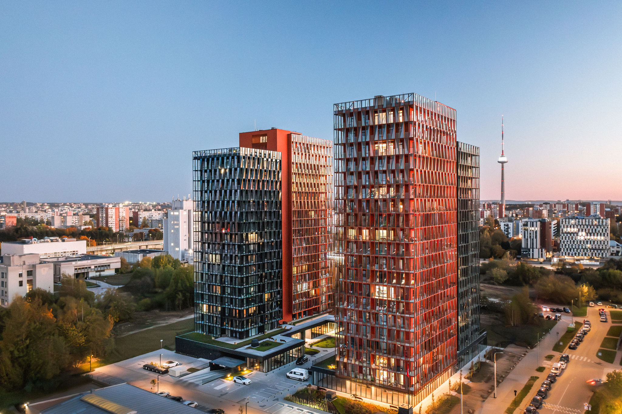 Projektų vadovas (-ė)