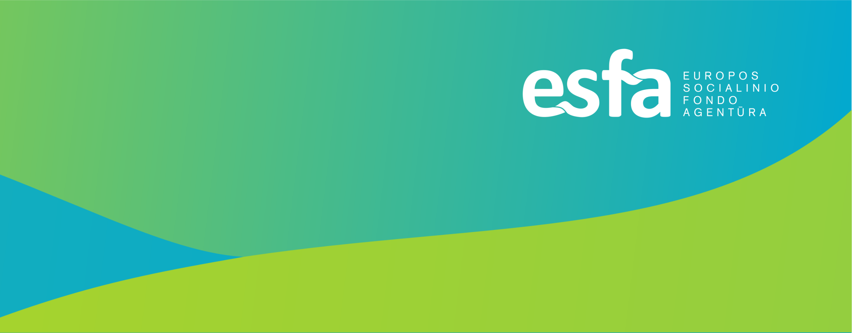 Veiklos ekspertė (-as)