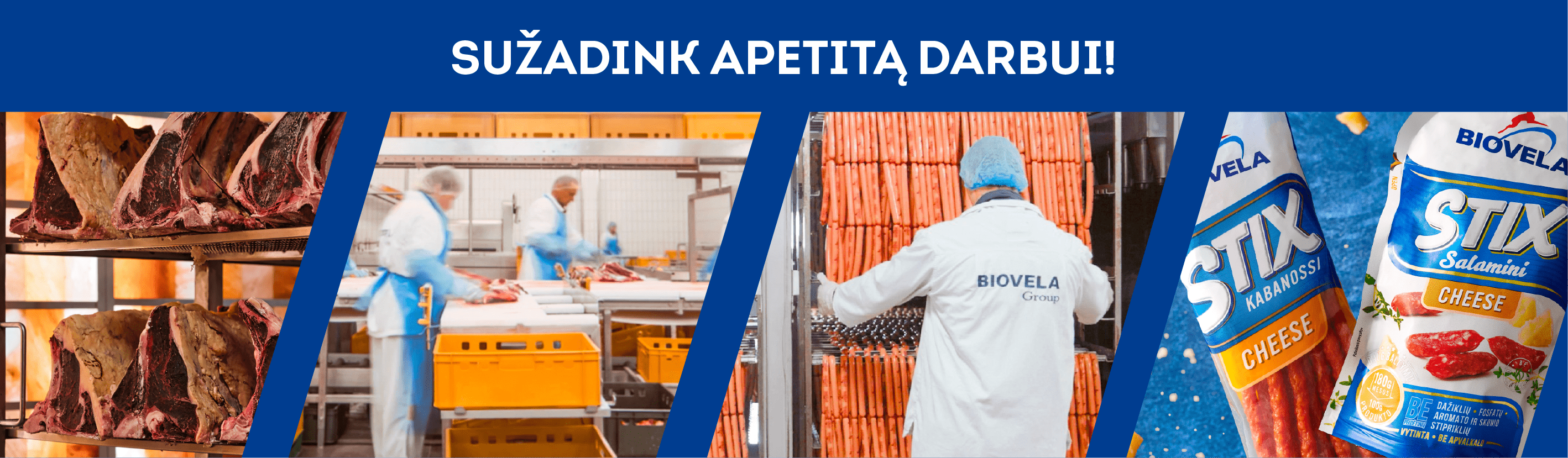 Apskaitos skyriaus vadovas (-ė)