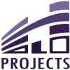 Projektų vadovas (-ė)