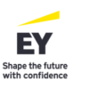 Senior Tax consultant / Expert