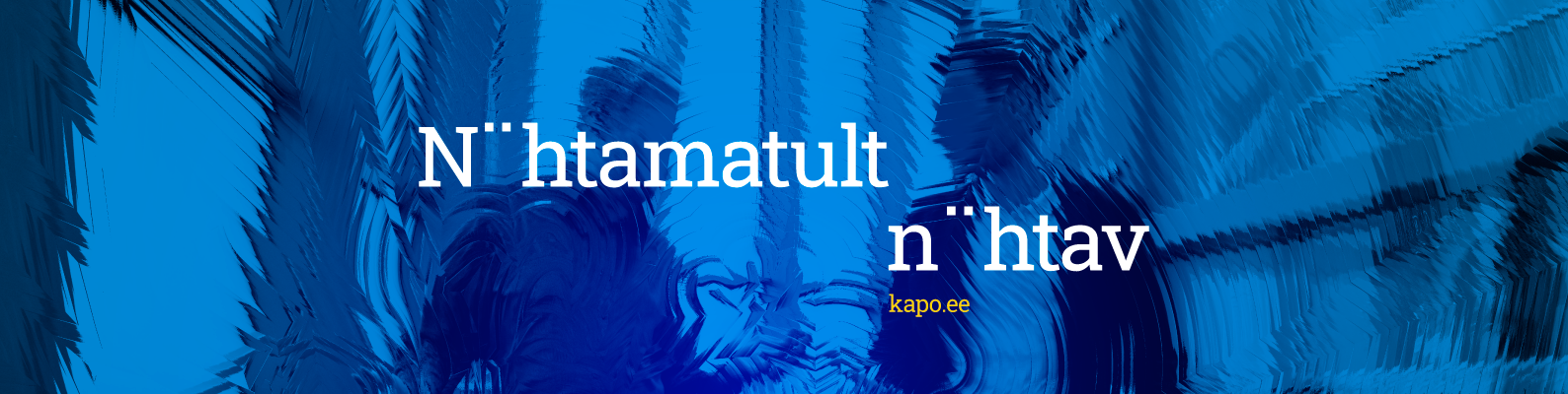 Tarkvaraarendaja