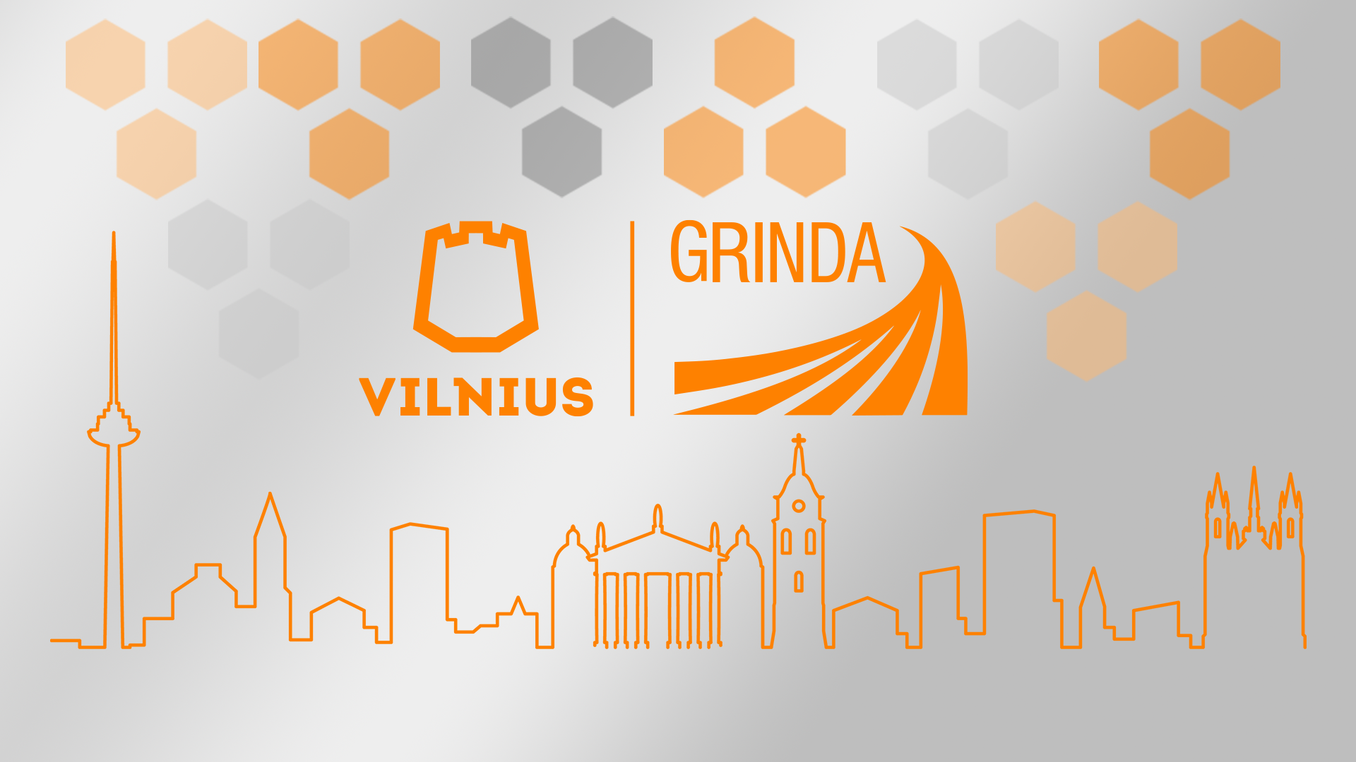 Projektų vadovas (-ė)