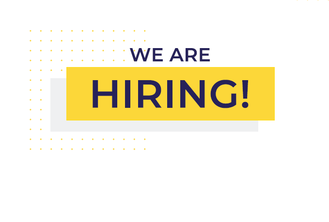 Junior IT Developer  