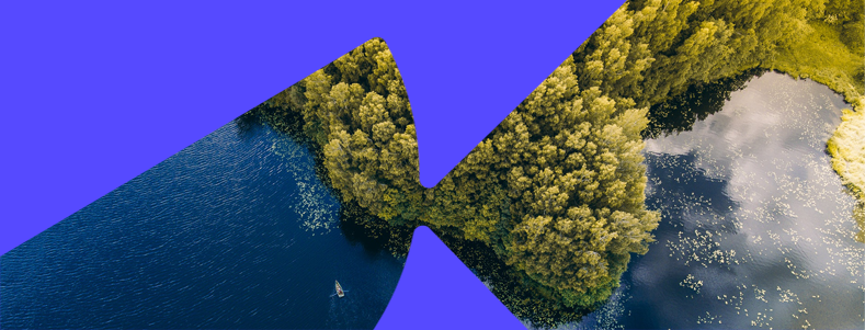 Kanalų ir klientų patirties valdymo departamento direktorius (-ė)