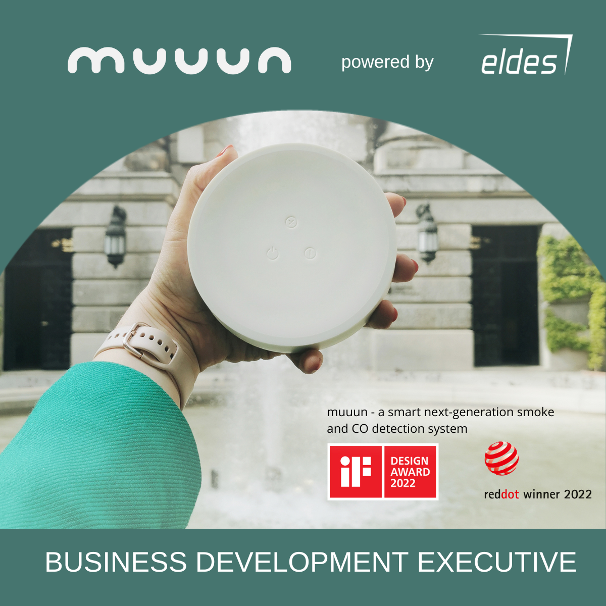 BUSINESS DEVELOPMENT EXECUTIVE